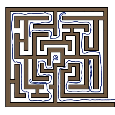 The Labyrinth and the Thread Trailer