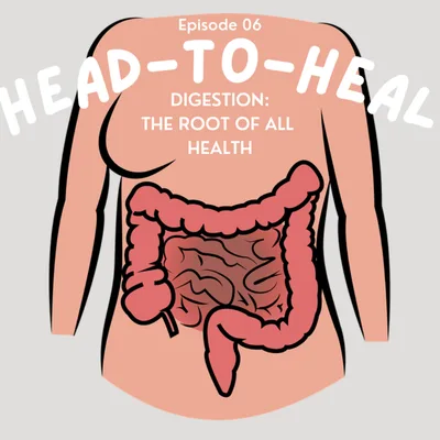 06 | Digestion The Root of Health