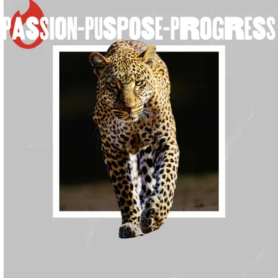 3 P's : Passion, Purpose, Progress