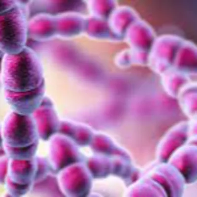 BBC interview 12/12/2022 - Group A strep infection, antibiotics shortages and role of flu vaccines