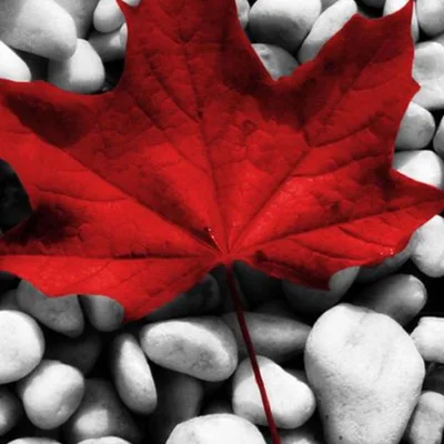 What has changed from now till then. (Rainna Richards)