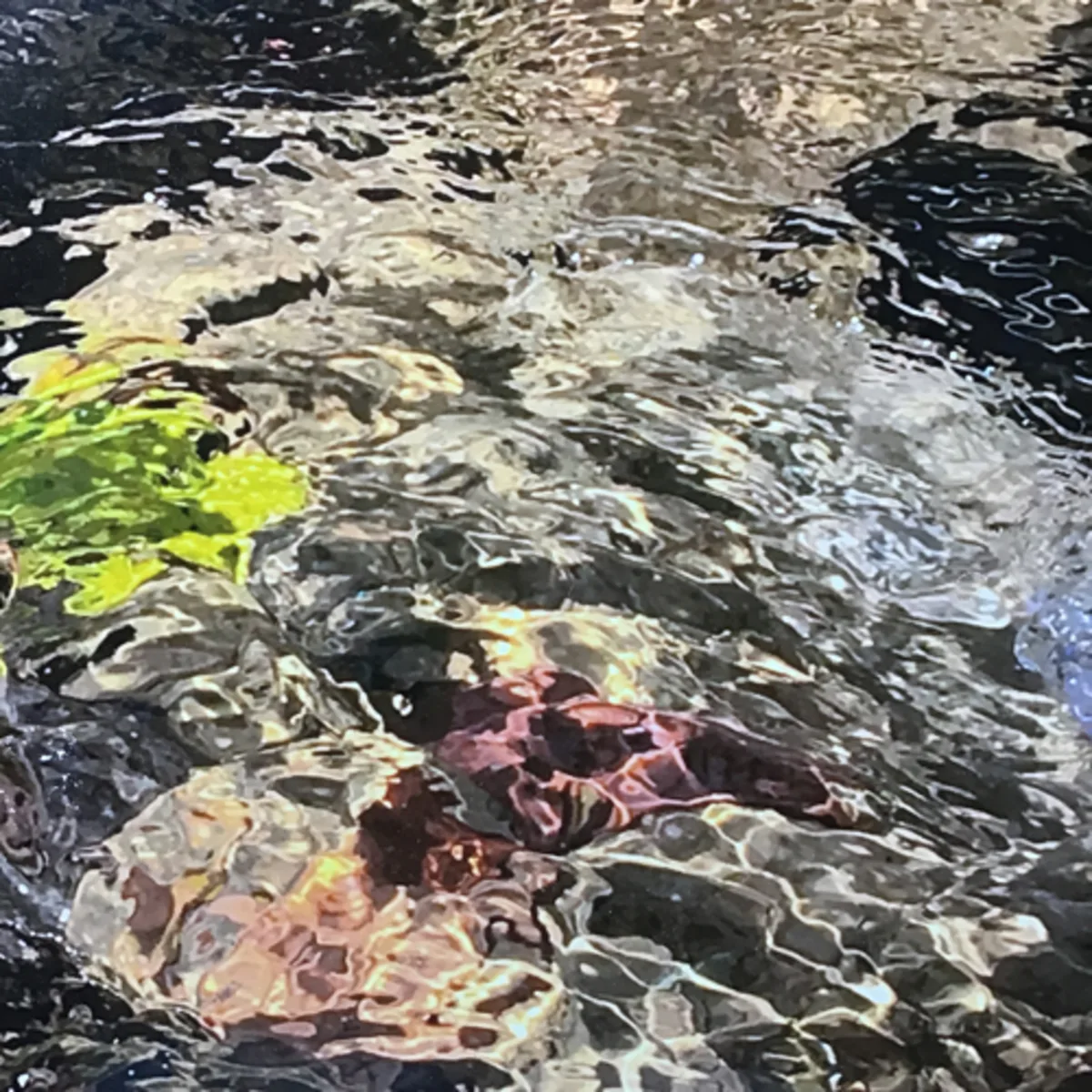 The Book of Esther (Complete)