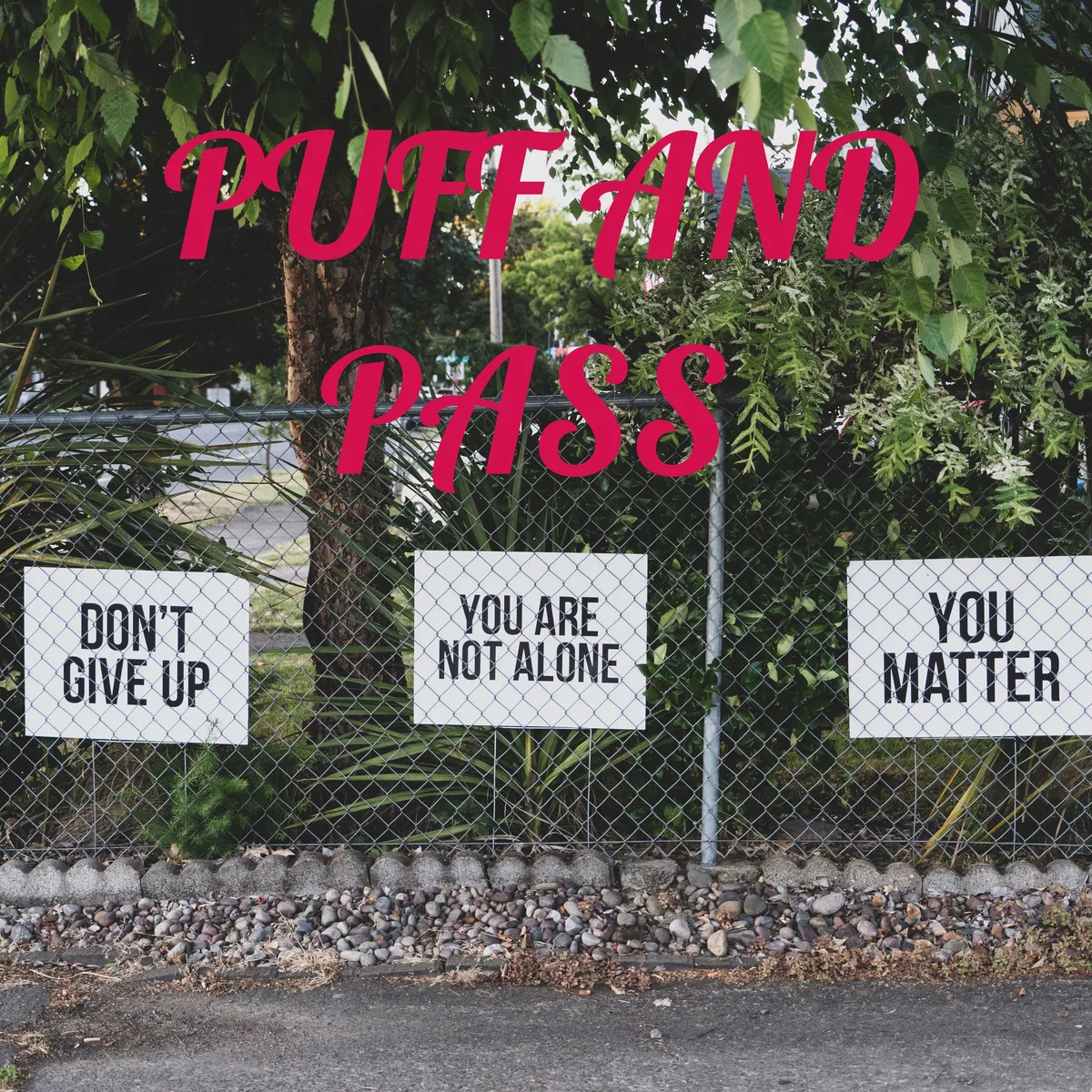 Last episode of Puff and pass