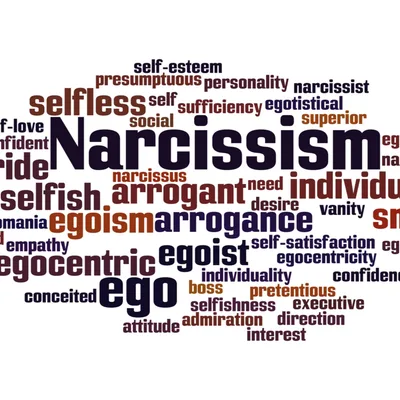 Are You a Narcassist?