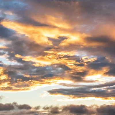 New Zealand Drug Policy 2010-2020: Lessons from missed opportunities for drug reform