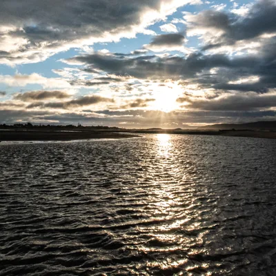 Vested Interest is the Driver of Drug Prohibition