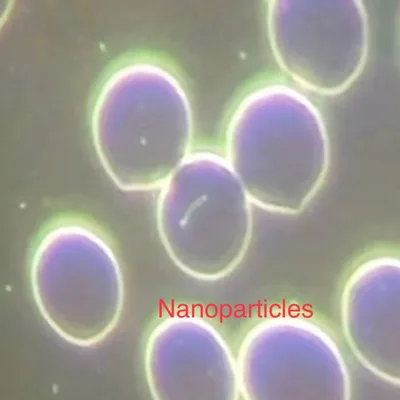 My Lyme Story and Truth