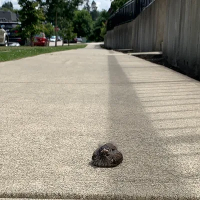 Ep58. Money. Am I Rich?