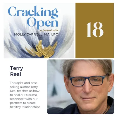 Terry Real, Therapist and New York Times Best Selling Author, Teaches Us How To Heal Our Trauma, and Reconnect With Our Partners To Create Healthier Relationships