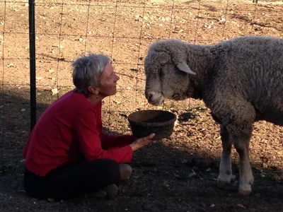 EP 29 – The Magic of Natural Medicine with Stephanie Marohn