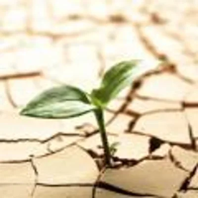 On the Verge Radio with Laura Richer - Using Your Breakdown for a Breakthrough: Laura Richer of On The Verge Radio Shares Tools To Use Your