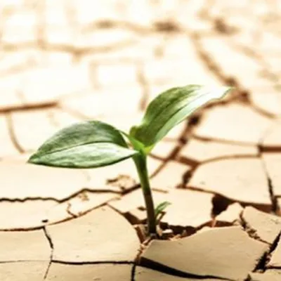 Laura Richer of On The Verge Radio Shares Tools To Use Your Breakdown as a Breakthrough