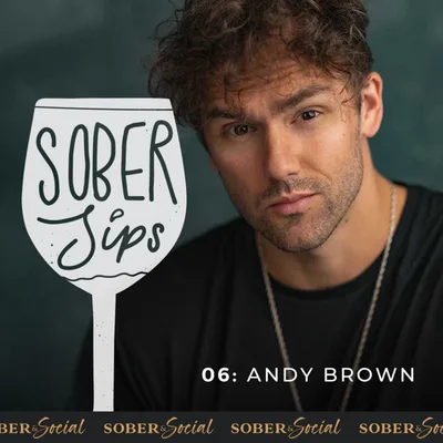 ANDY BROWN - HIGHS AND LOWS OF SOBRIETY