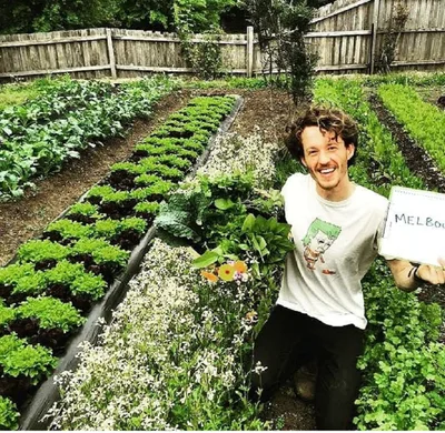 Sustainability and Urban Farming