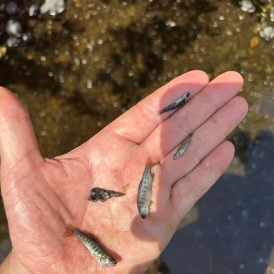 Ep89. Stress Can Equal…