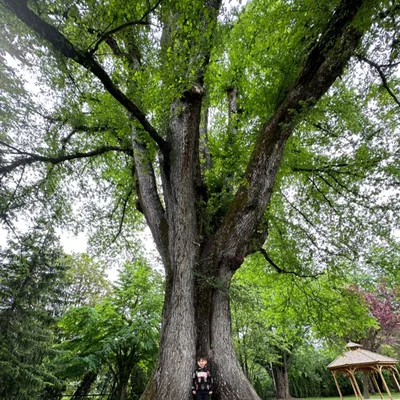 Ep87. Taking Ownership