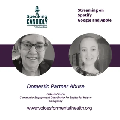 Domestic Partner Abuse
