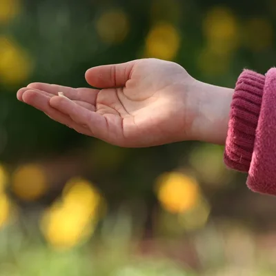 The Power of Patience