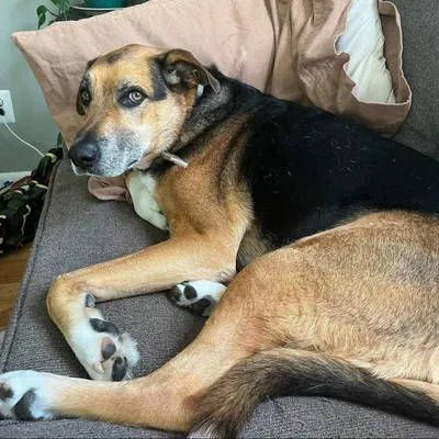 SoberNotMature - Episode 60 (Melissa Z And Hercules - Listen And Do)