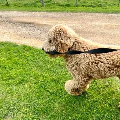 Proprioception 🤸‍♀️ (Wed, 27/09/2023)