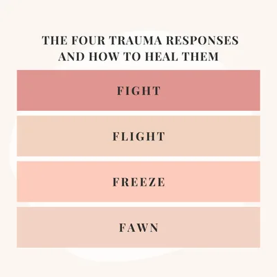 Episode 5 Season 3:  The Four Trauma Responses and How to Heal Them