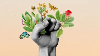 Introducing – Days Like These – A Fork in the Road