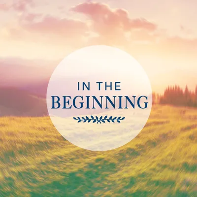 In the Beginning - God’s Design - Mark Beebe