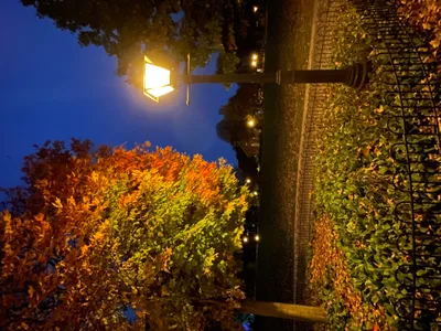 The Doctor's Opinion - Recovered 1357