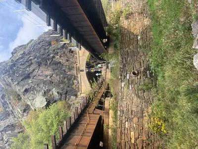 Larry T. - Recovered 1360