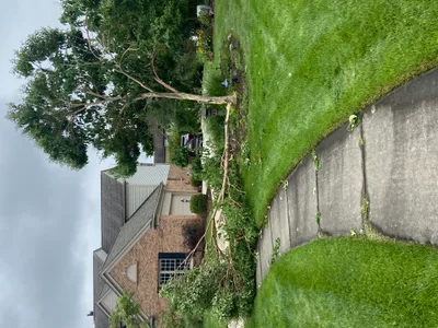 Bob D - Recovered 1369