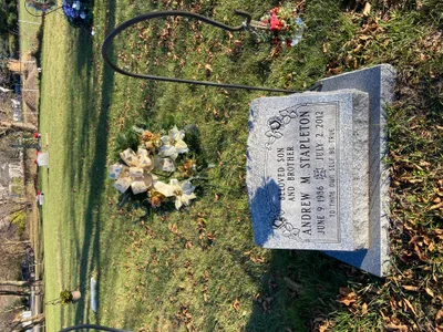 Step 2 - Recovered 1365