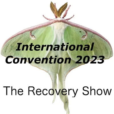 Experience, Strength and Hope from the 2023 Al-Anon International Convention – 404