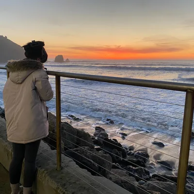 Anxiety - The Beast that Must Be Tamed