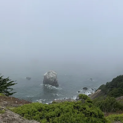 When You've Lost More Than You Can Bear