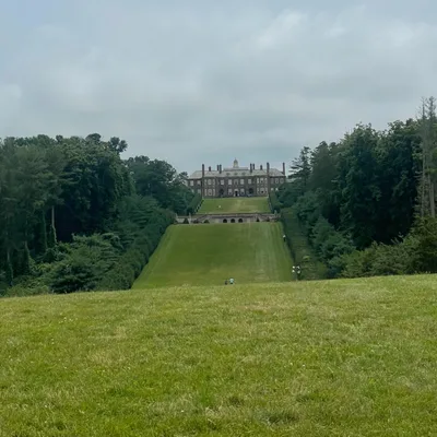 Ding Dong, the Witch is Dead. Now What?