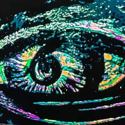 Fear and Loathing in Narcopath Land