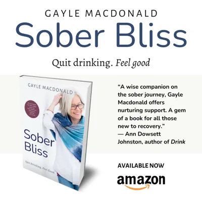 Sober Bliss: Quit Drinking. Feel Good - An Introduction to my book