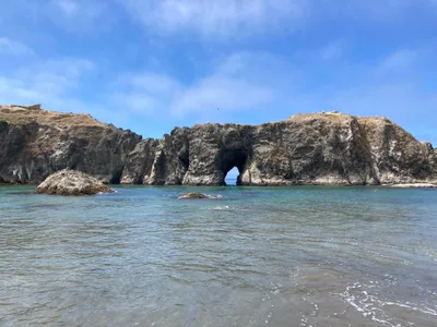 The creative act is a form of dreaming