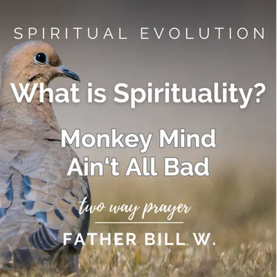 What is Spirituality? Monkey Mind Ain't All Bad