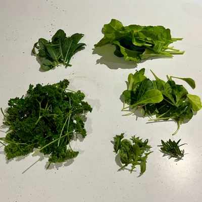 Harvest (Sun, 28/01/2024)