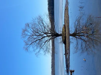 Challenges - Recovered 1377