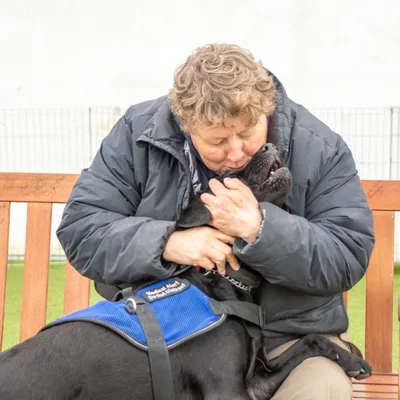 Operation Freedom Paws