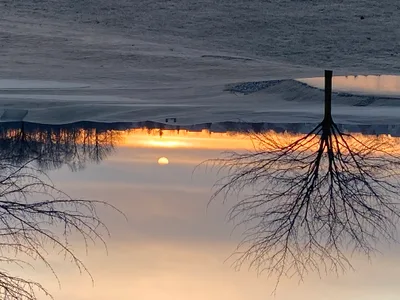 Step 10 - Recovered 1379