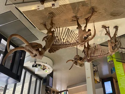 Step 11 - Recovered 1380