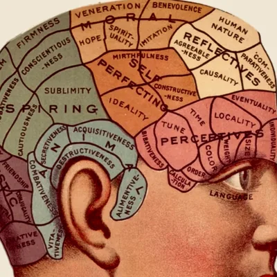 PLAUSIBLE DENIABILITY-THE NARCISSIST;S SECRET WEAPON