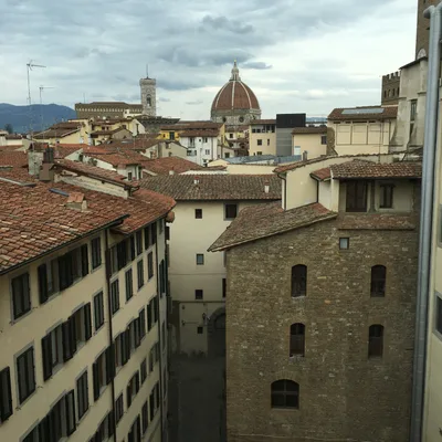 Just Say No to the Narcissist, Psychopath, & Anti-Social Disordered