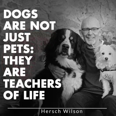 Dogs Are Not Just Pets: They Are Teachers Of Life