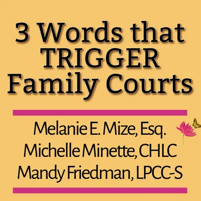 3 Words that TRIGGER Family Courts