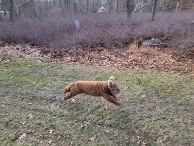 Success and Failure, and Rory runs!