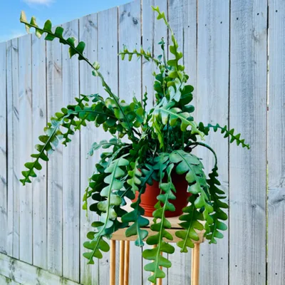 Lowercase (Wed, 01/05/2024)